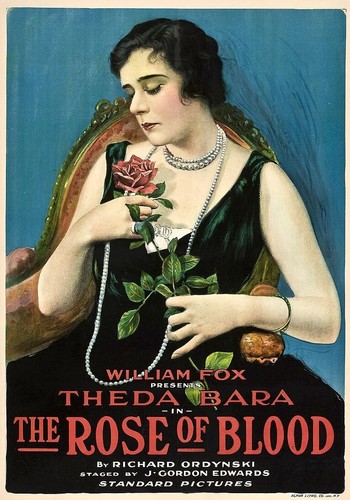 Theda bara rosa - rosa, di