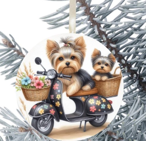 Yorkshire terrier palla - yorkshire,
