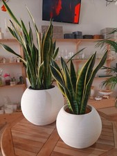 VASO ROTONDO SHABBY SFERA