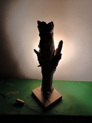 Lampada tavolo da - tavolo, terra