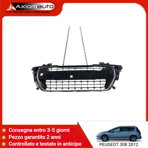 Griglia del paraurti - griglia,