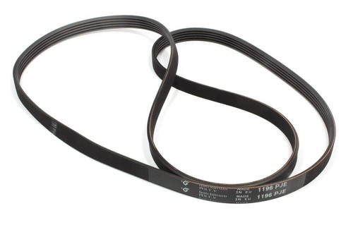 Cinghia elastica per - cinghia,