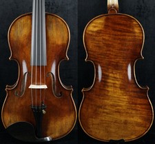 Violino completo ben fatto a