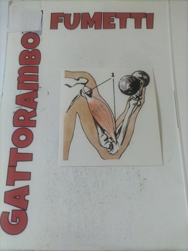 Figurine didattiche conoscere - figurine,