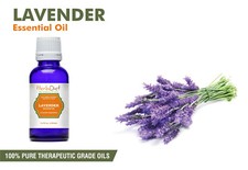 Olio Essenziale di Lavanda