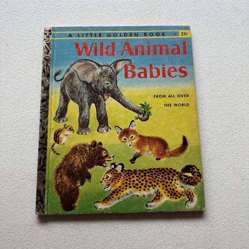 Wild animal babies kathleen - animal,