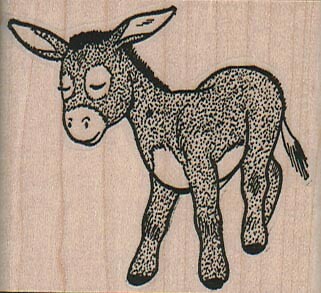 Burro occhi chiusi - occhi, x