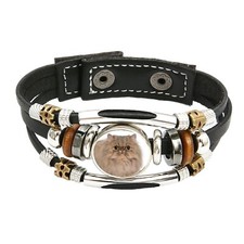 Persian Cat Pet Family Brown