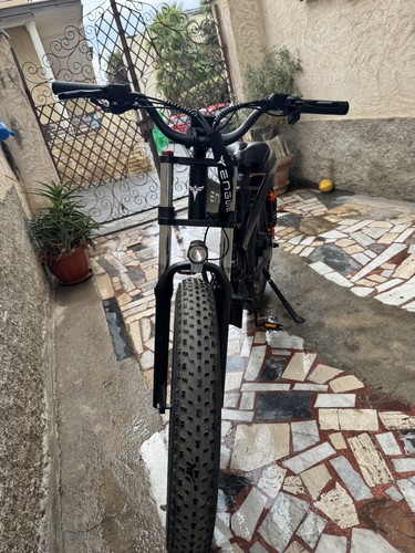 Fat bike pieghevole engwe - fat,