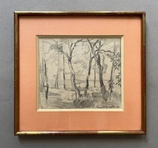Paesaggio alberato, disegno