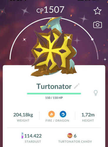 Turtonatore lucido p - ✨turtonatore,