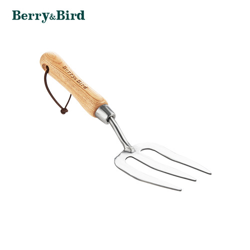 Berry bird forchetta - forchetta, mano