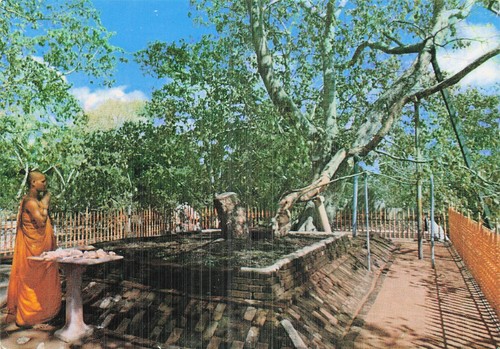 Sri lanka anuradhapura - anuradhapura, le