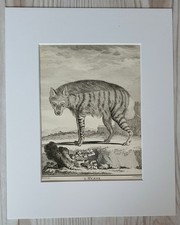 1767 litografia stampa