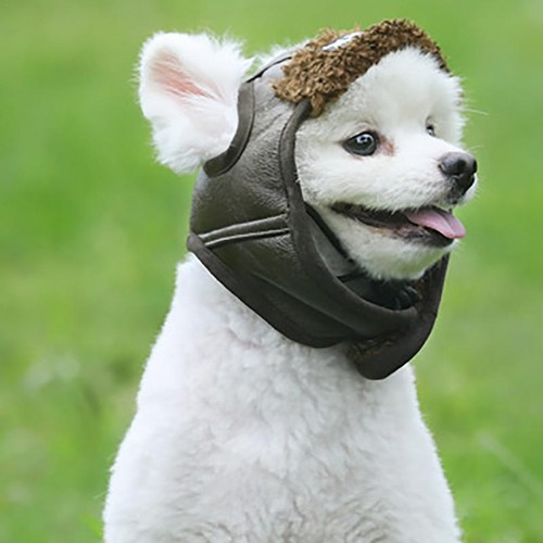 Dogs pilot hat small and - pilot,