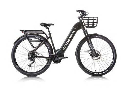 Coppi forest cues grigio - forest, 9v