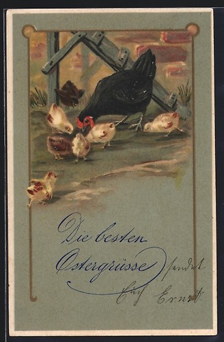 Cartolina gallina nera - gallina,