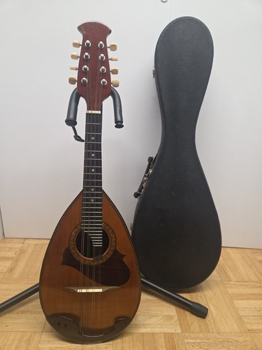Mandolino posteriore coppa