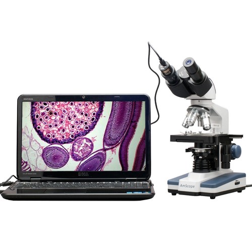 Amscope 40x 2500x led - 40x-2500x, digitale