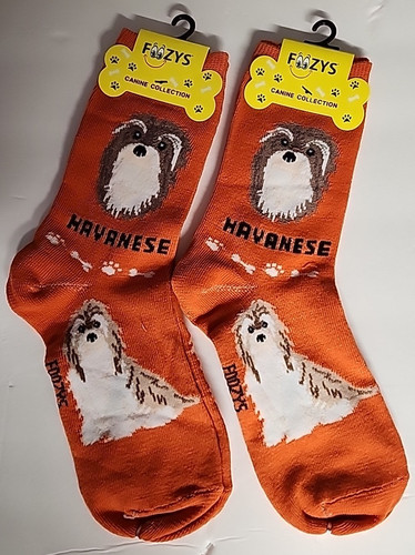 Foozys canine havanese cane - canine,