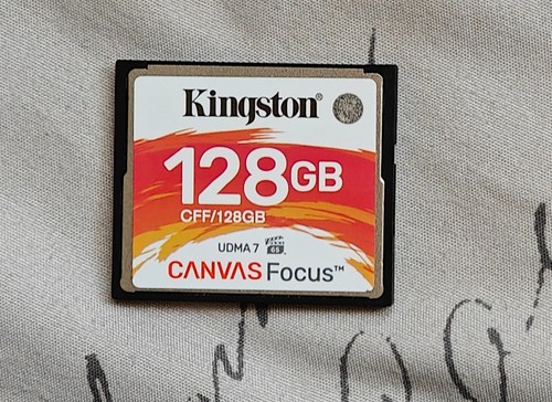 Kingston canvas focus - kingston, cf