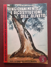Ringiovanimento e