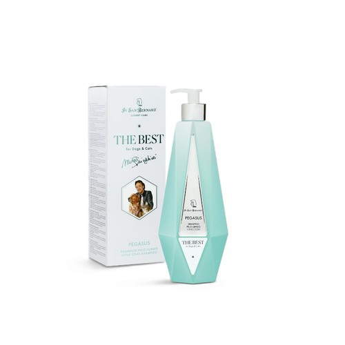 San bernard the best - bernard,