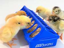 Mangiatoia in plastica per