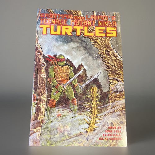 Tmnt mirage 1991 - #37,