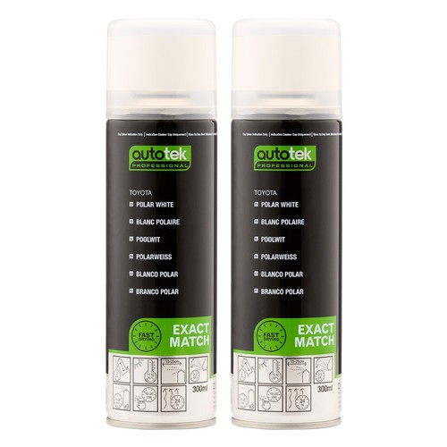 Vernice spray aerosol