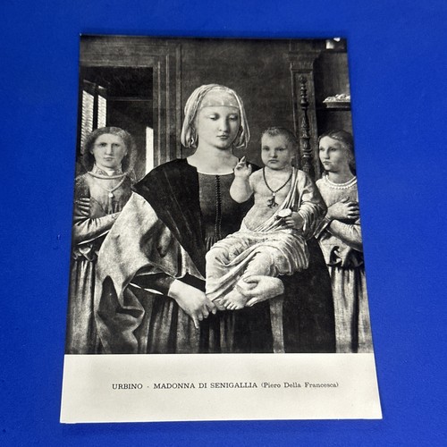 Urbino madonna senigallia - urbino,