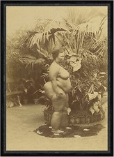 African Woman Afrikaner Eingeborene Frauen Dick Urwald Garten Bank Faks_M 181