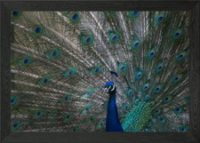 Poster arte da parete con