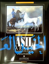 L'asil arabo. Il cavallo