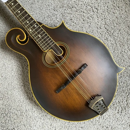 Washburn mandolino acustico - washburn,