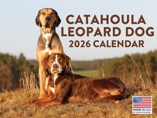 Catahoula Leopard Dog Calendar