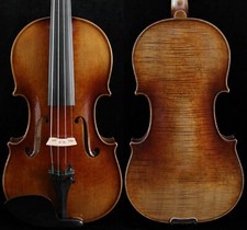 Amazing Master violino