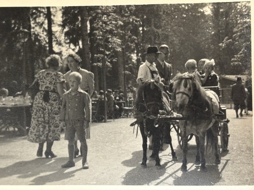 Foto carrozza pony - 🐴,