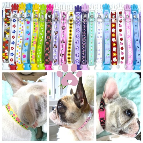 Allbreeds cucciolo collari - cucciolo, id