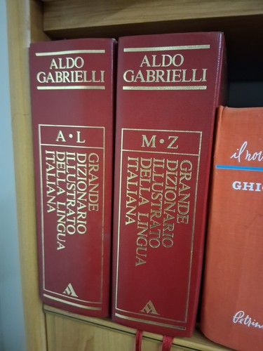 Grande dizionario illustrato - grande,