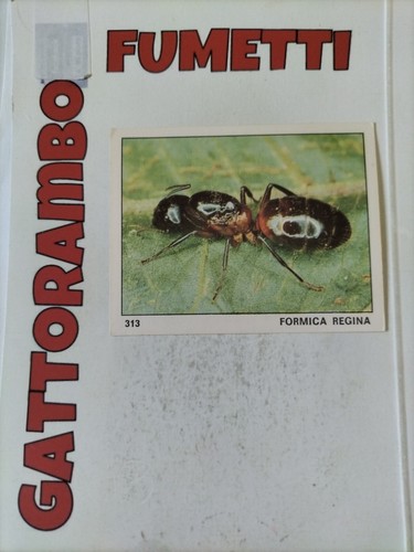 Figurine mondo degli - il,
