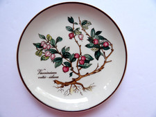 Sottobicchiere bottiglia vino