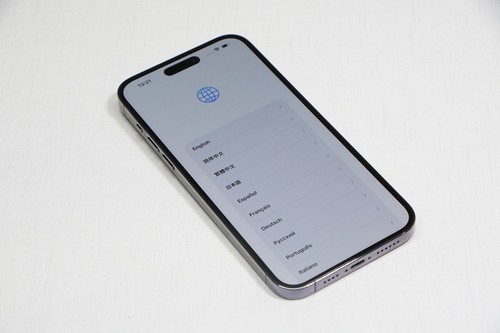 Apple iphone pro max - apple, 14