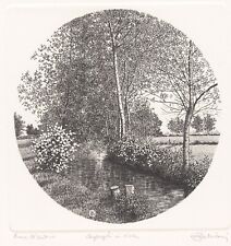 ZALIANI AGOSTINO "CESPUGLI IN