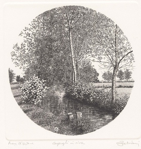 Zaliani agostino cespugli in - zaliani, "cespugli