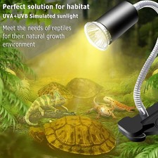 Lampada Termica Per Rettili 1