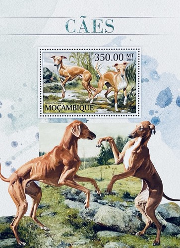 Foglio francobolli cane - foglio,