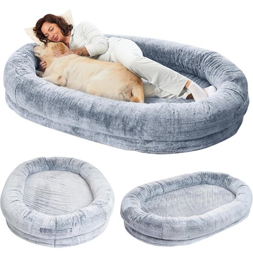 Cuccia cane padrone - cuccia,