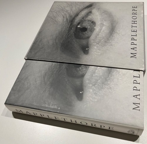 Mapplethorpe danto essay - w/,