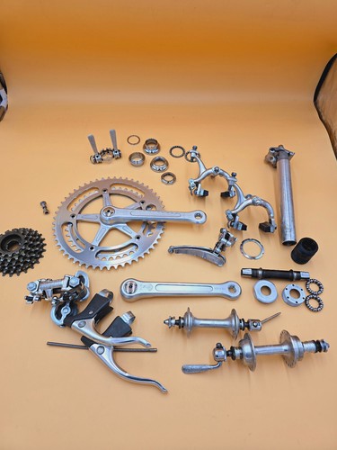 Gruppo campagnolo gran - campagnolo, sport